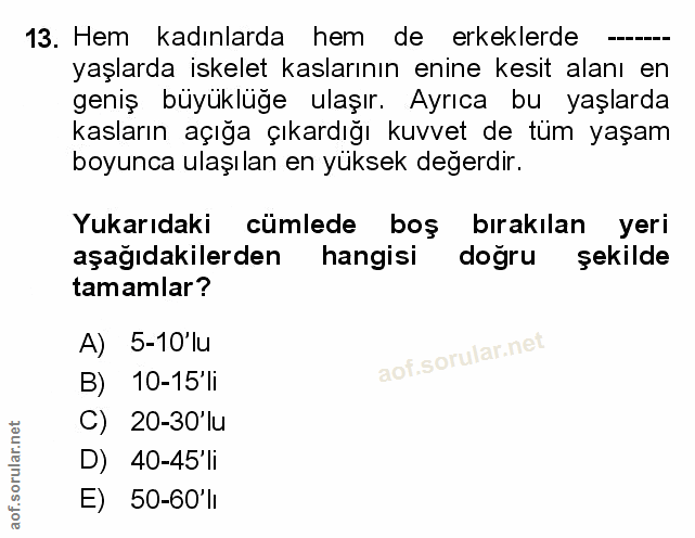 Soru 13
