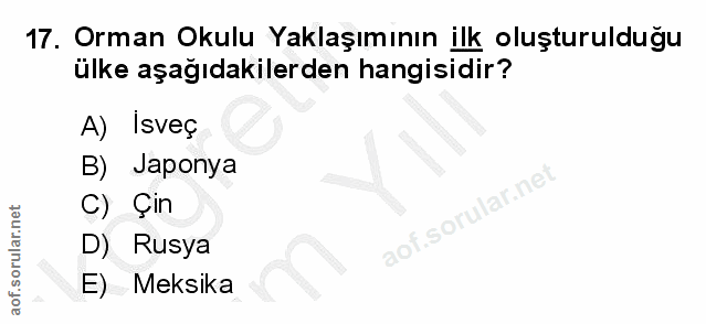 Soru 17