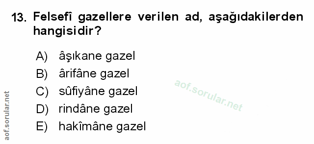 Soru 13
