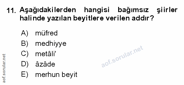 Soru 11