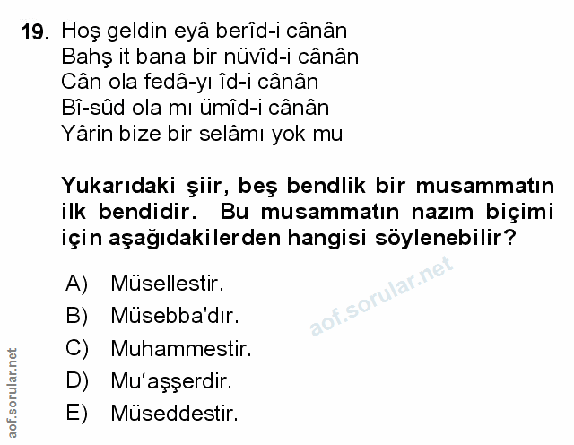 Soru 19