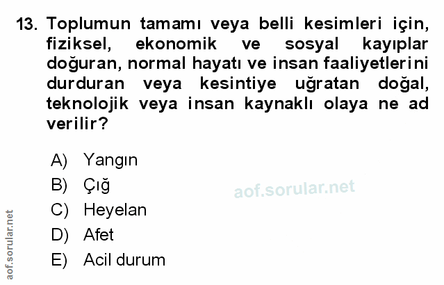 Soru 13