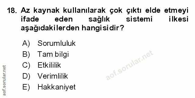 Soru 18