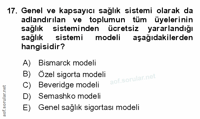 Soru 17