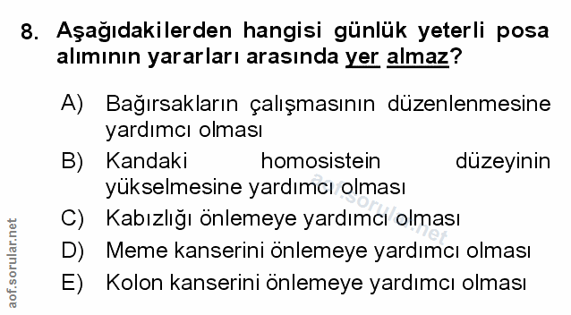 Soru 8