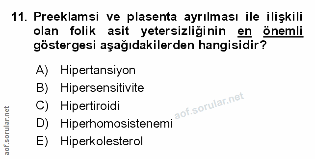 Soru 11