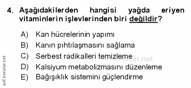 Soru 4