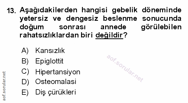 Soru 13