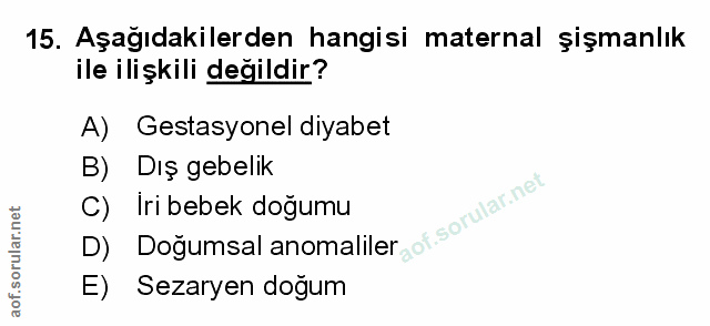 Soru 15