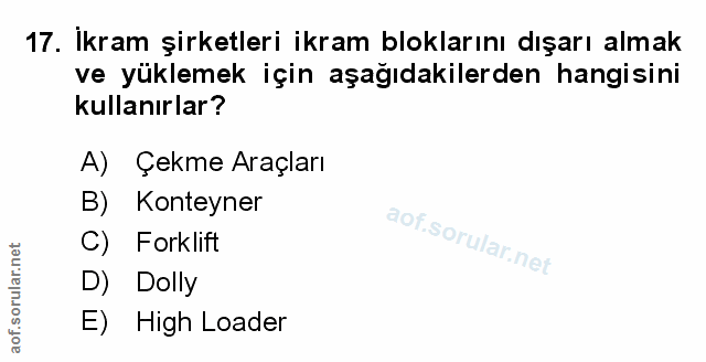 Soru 17