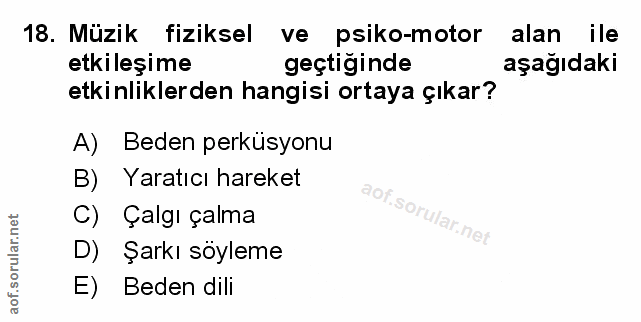 Soru 18