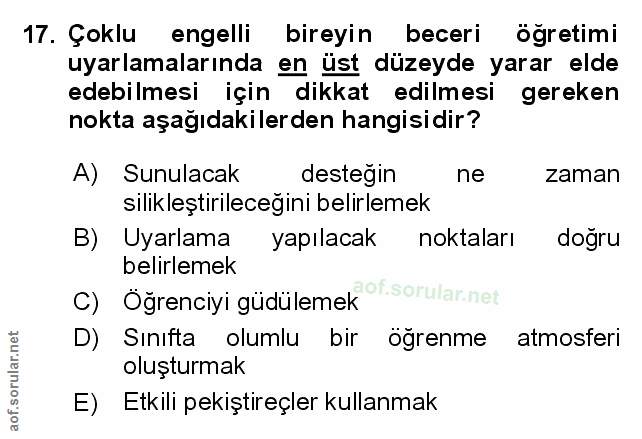 Soru 17