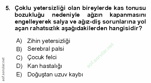 Soru 5