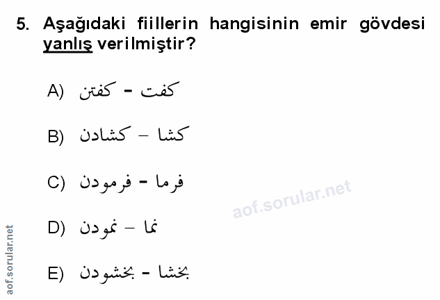 Soru 5