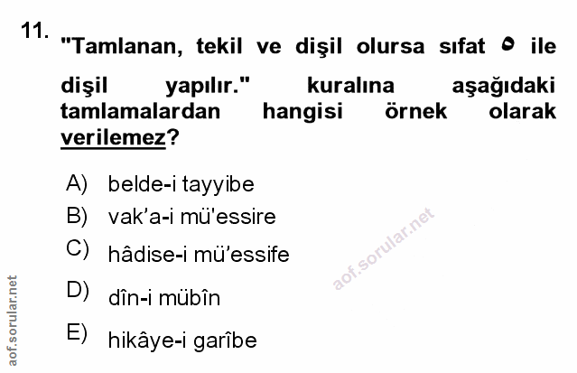 Soru 11