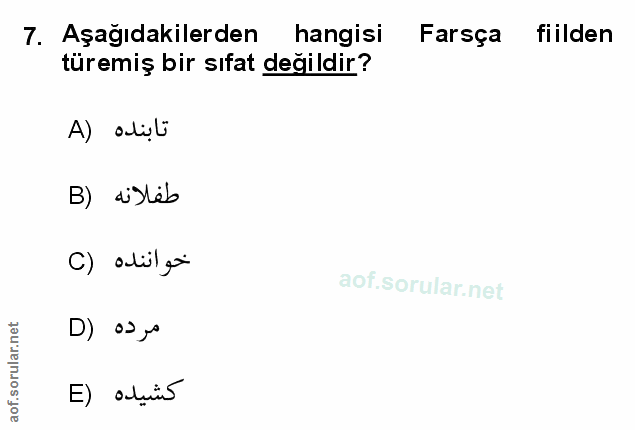 Soru 7
