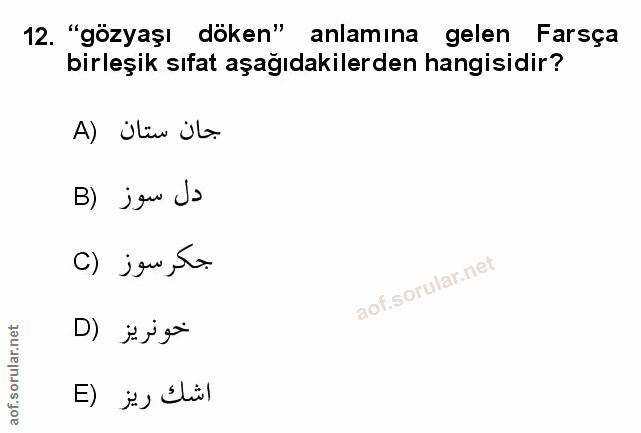 Soru 12