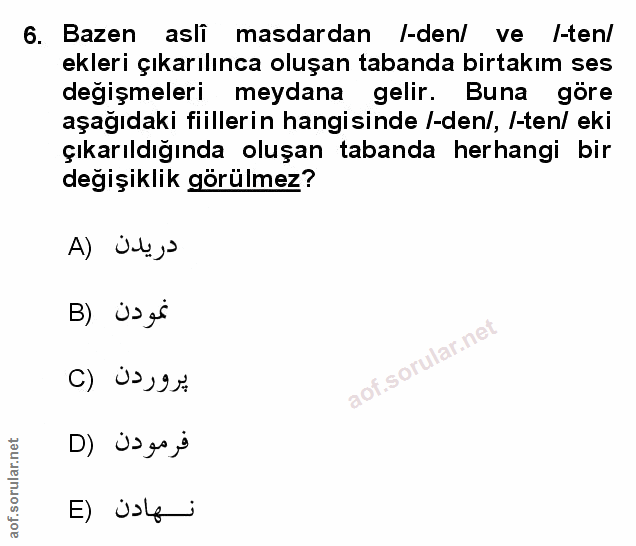 Soru 6