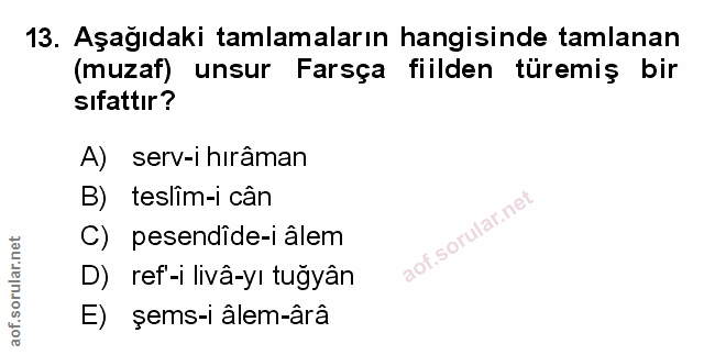 Soru 13