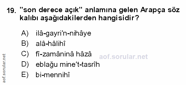 Soru 19