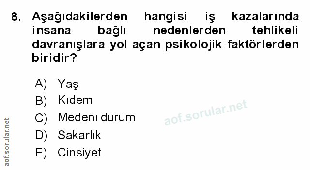 Soru 8