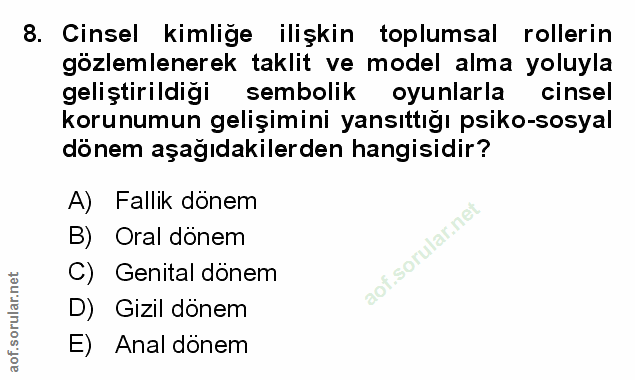 Soru 8