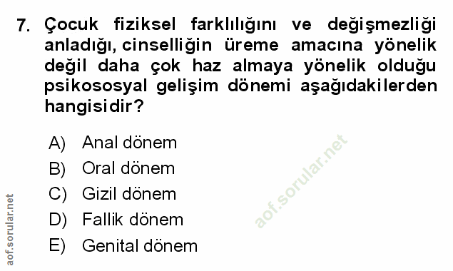 Soru 7