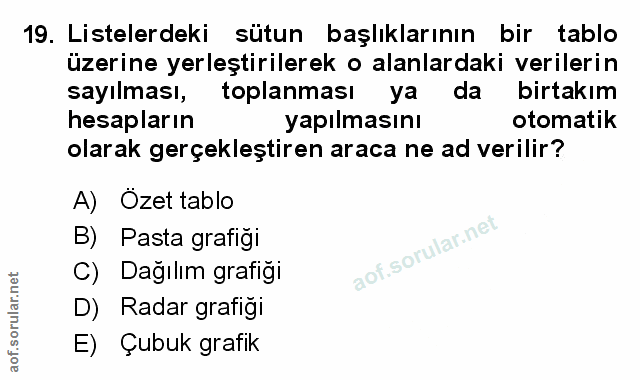 Soru 19