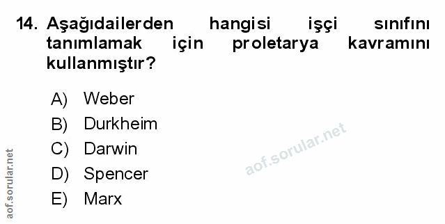 Soru 14
