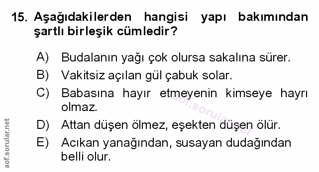 Soru 15