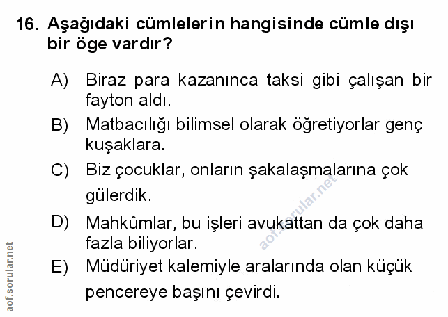 Soru 16