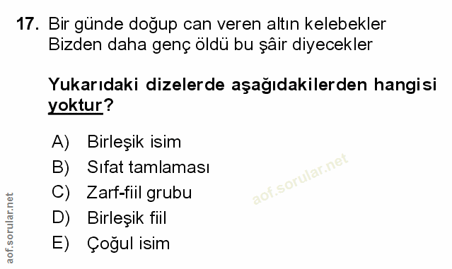 Soru 17