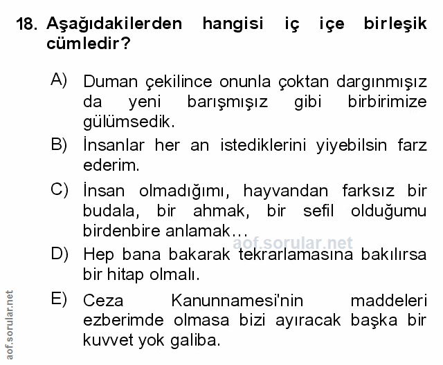 Soru 18