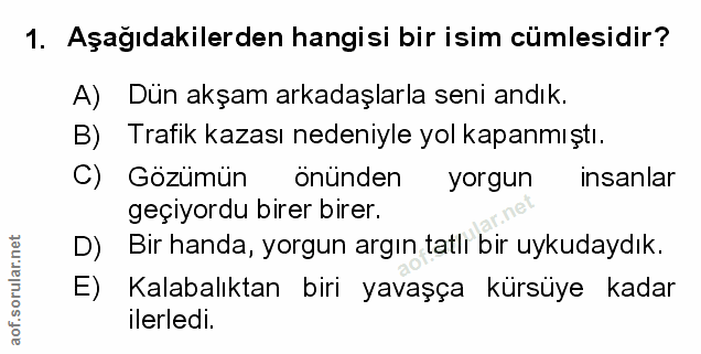 Soru 1