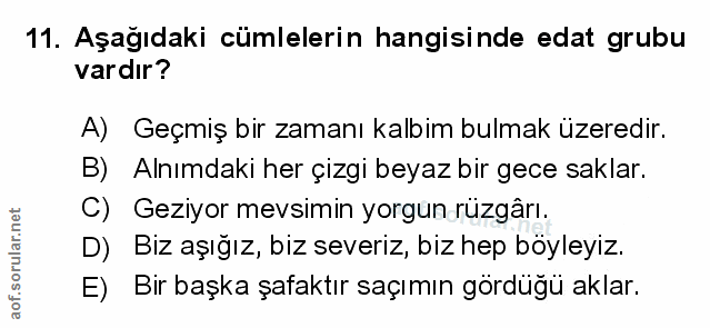 Soru 11