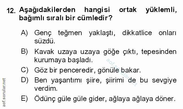 Soru 12