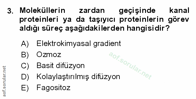 Soru 3