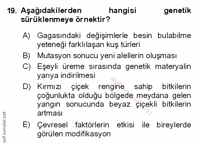 Soru 19
