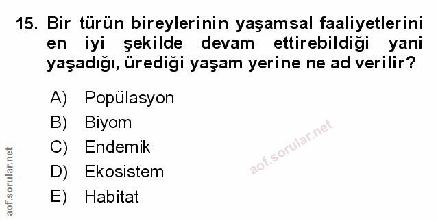 Soru 15