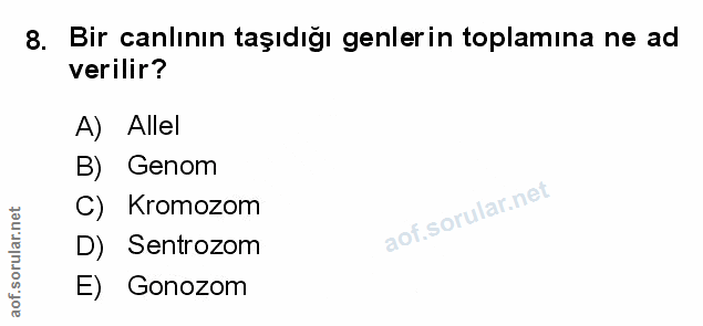 Soru 8