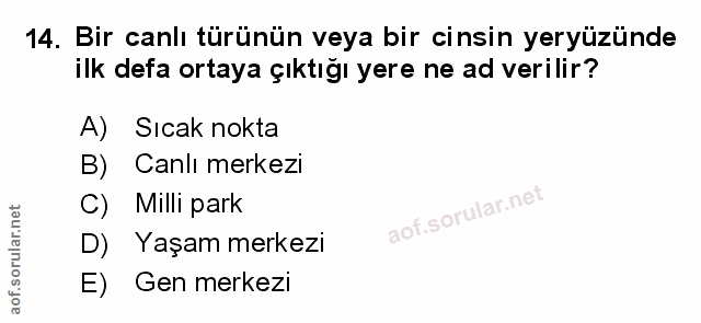 Soru 14