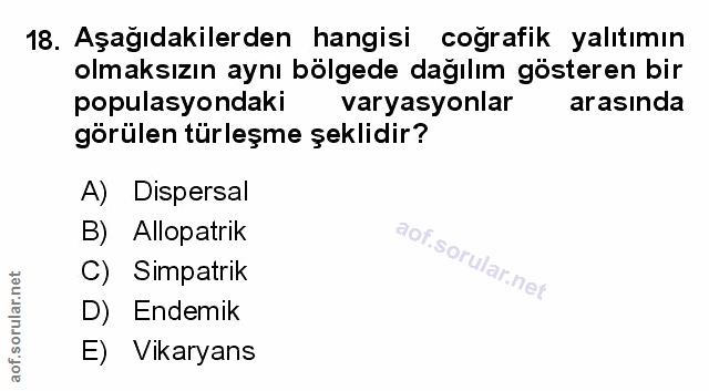Soru 18