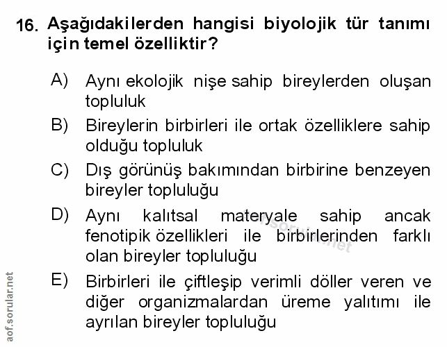 Soru 16