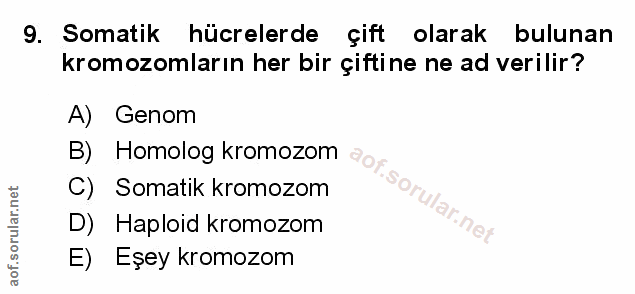 Soru 9