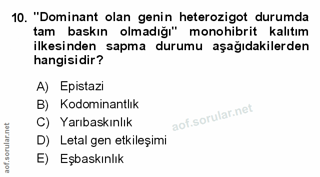 Soru 10
