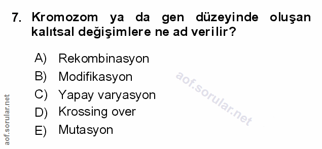 Soru 7