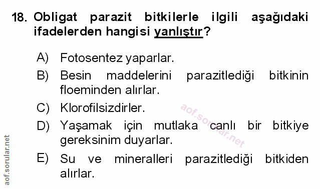 Soru 18