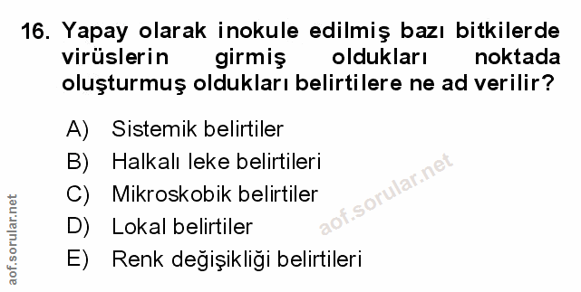 Soru 16