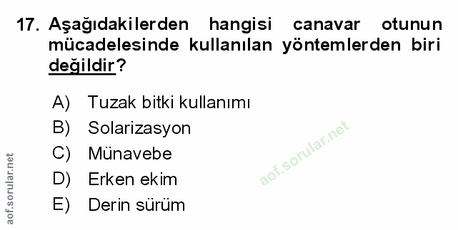 Soru 17