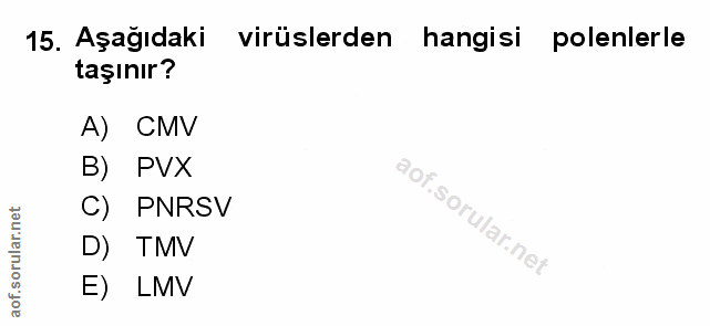 Soru 15